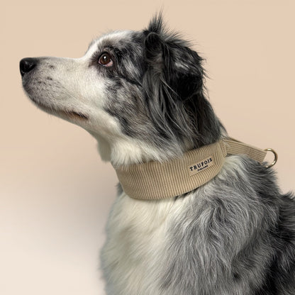 Wide Collar - Latte Beige