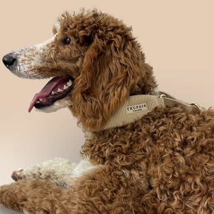 Wide Collar - Latte Beige
