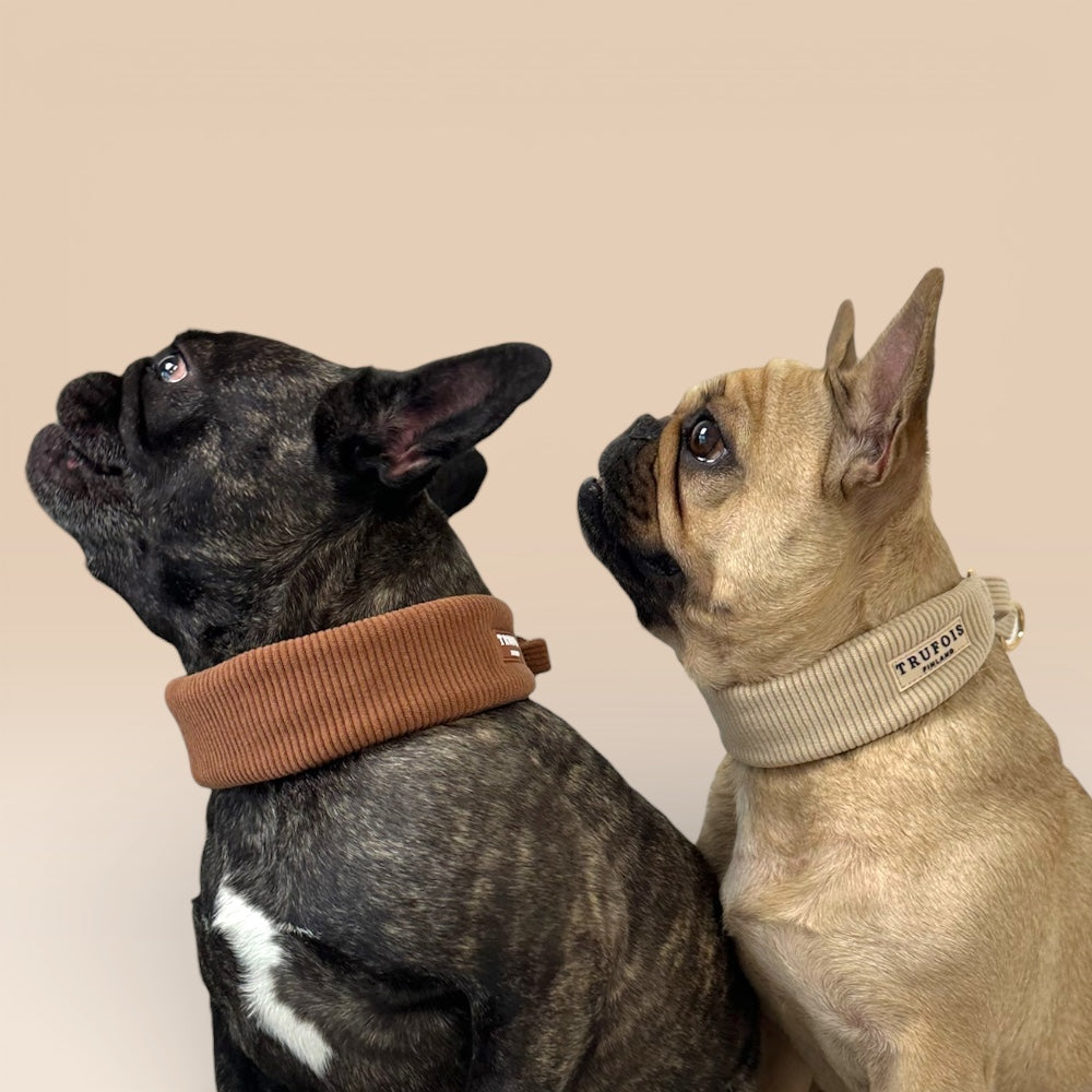 Wide Collar - Latte Beige