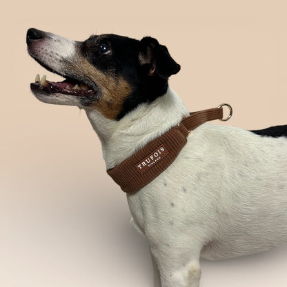 Wide Collar - Macchiato Brown