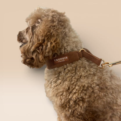 Wide Collar - Macchiato Brown
