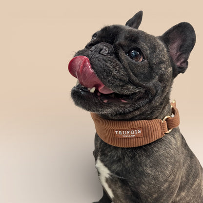 Wide Collar - Macchiato Brown