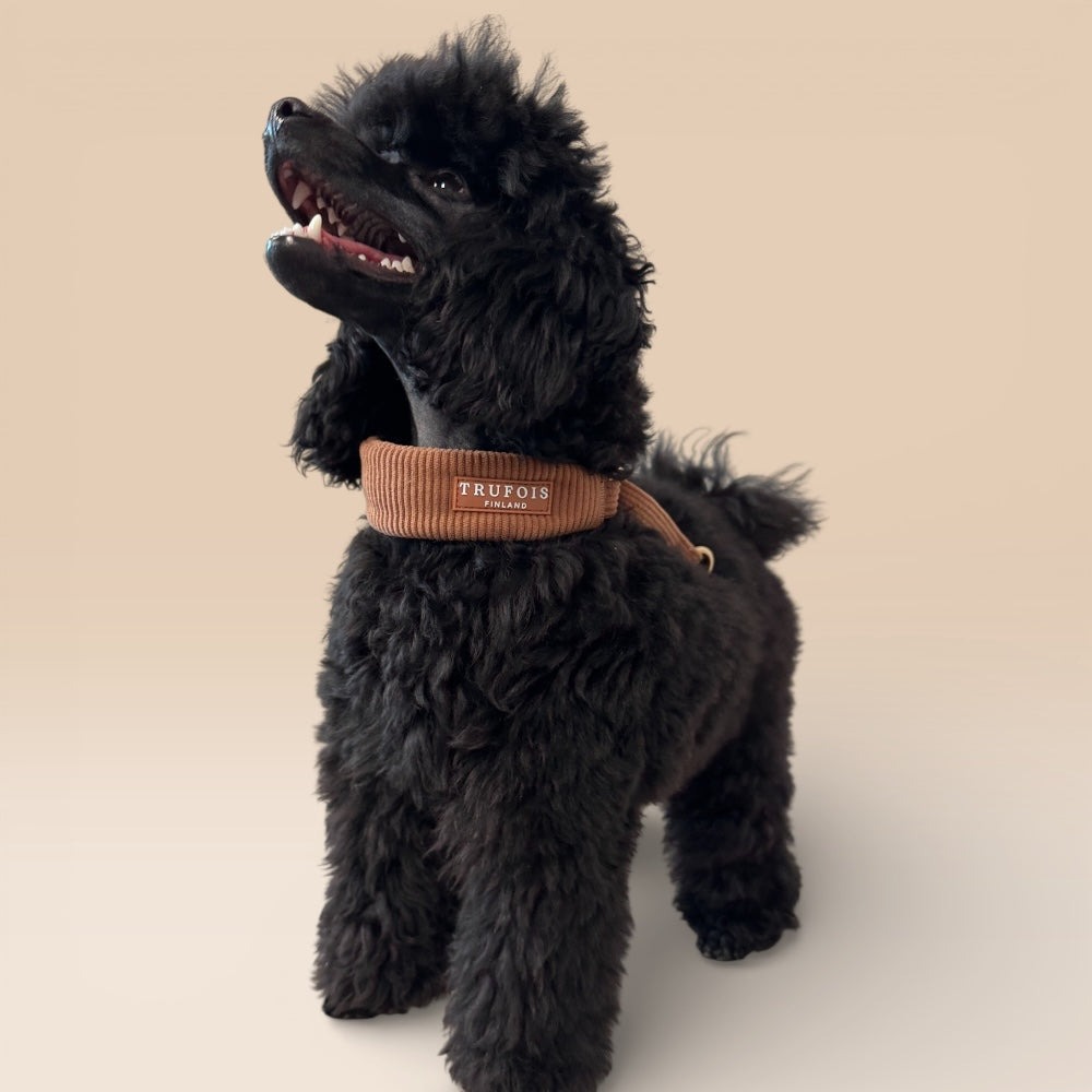 Wide Collar - Macchiato Brown