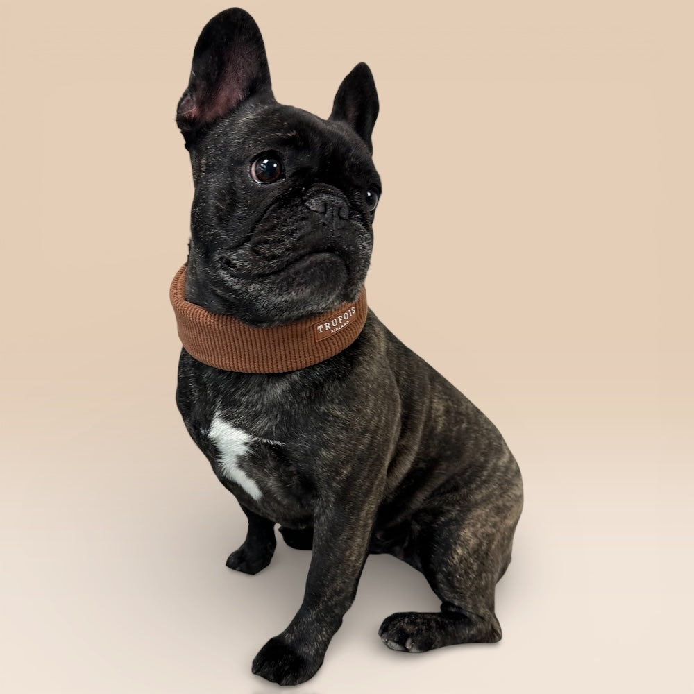 Wide Collar - Macchiato Brown