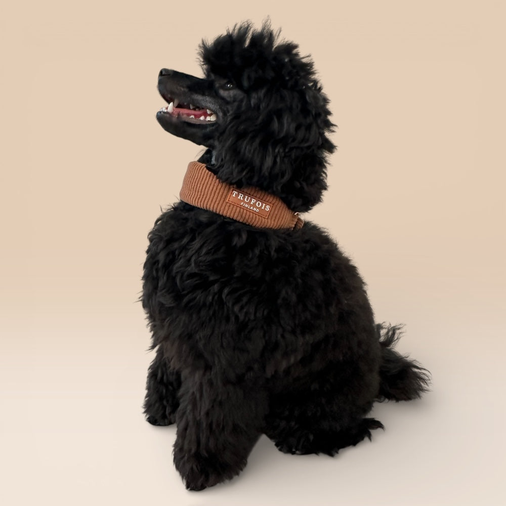 Wide Collar - Macchiato Brown