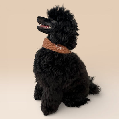 Wide Collar - Macchiato Brown