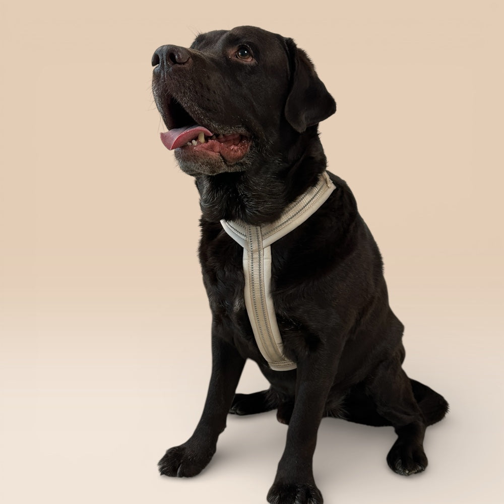 Arnés cómodo - Beige