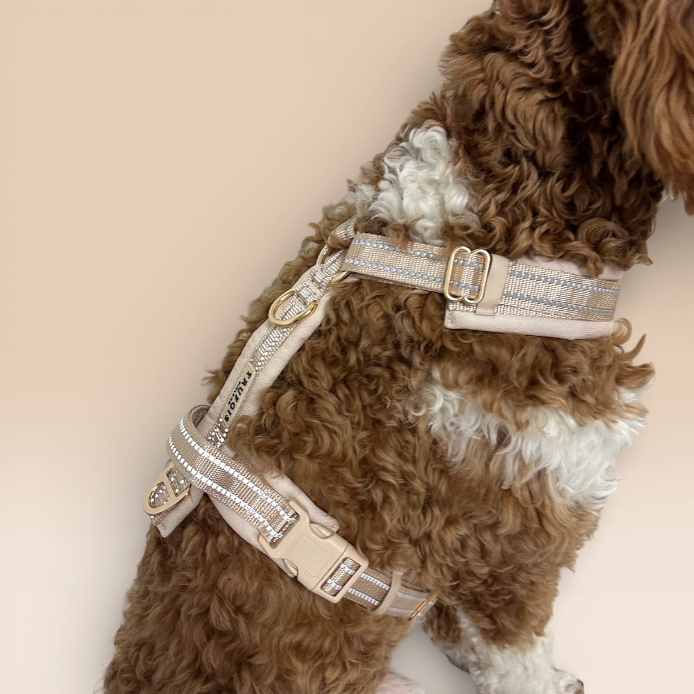 Arnés cómodo - Beige