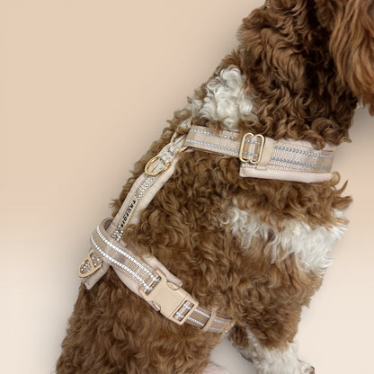 Arnés cómodo - Beige