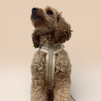 Arnés cómodo - Beige