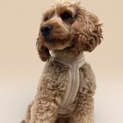 Arnés cómodo - Beige