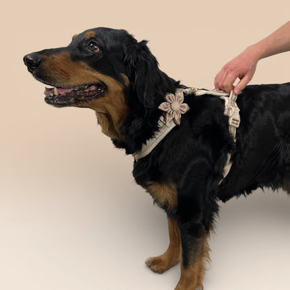 Arnés cómodo - Beige