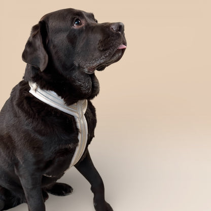 Arnés cómodo - Beige