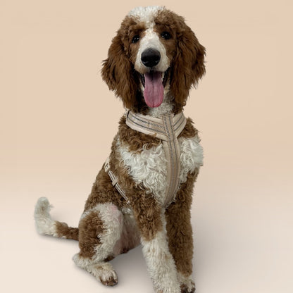 Arnés cómodo - Beige