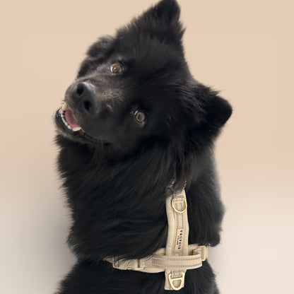 Arnés cómodo - Beige