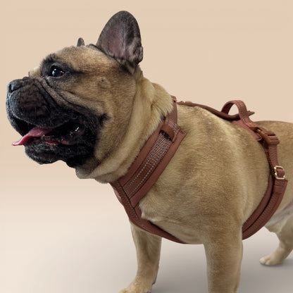 Arnés Cómodo - Marrón