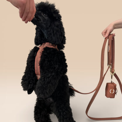 Arnés Cómodo - Marrón