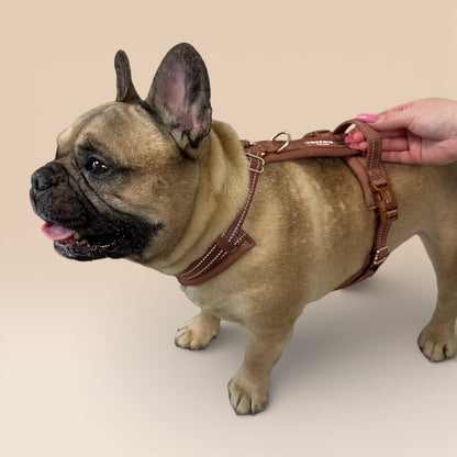 Arnés Cómodo - Marrón