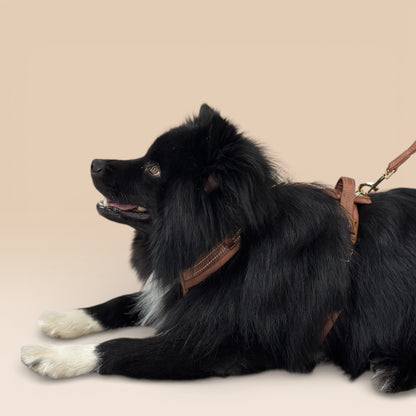 Arnés Cómodo - Marrón