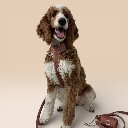 Arnés Cómodo - Marrón