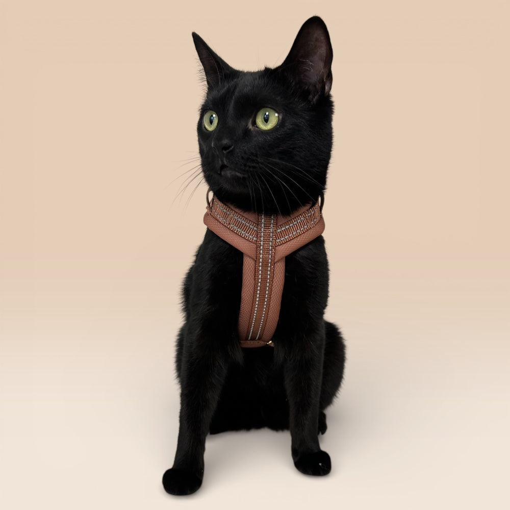 Arnés Cómodo - Marrón