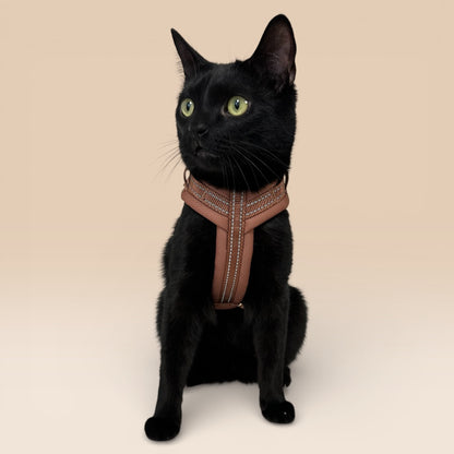 Arnés Cómodo - Marrón