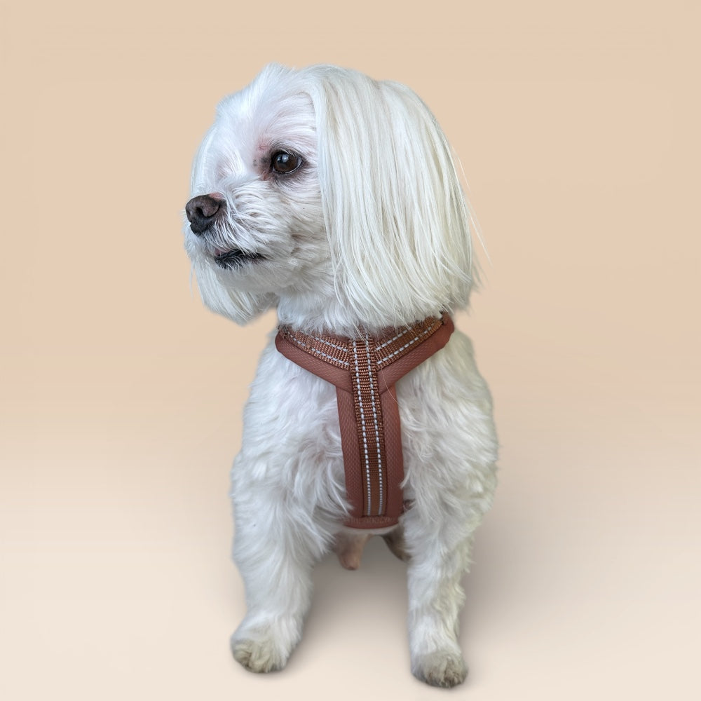 Arnés Cómodo - Marrón