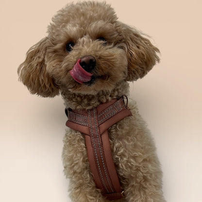 Arnés Cómodo - Marrón