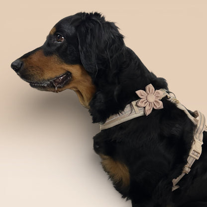 Collar Flower - Beige