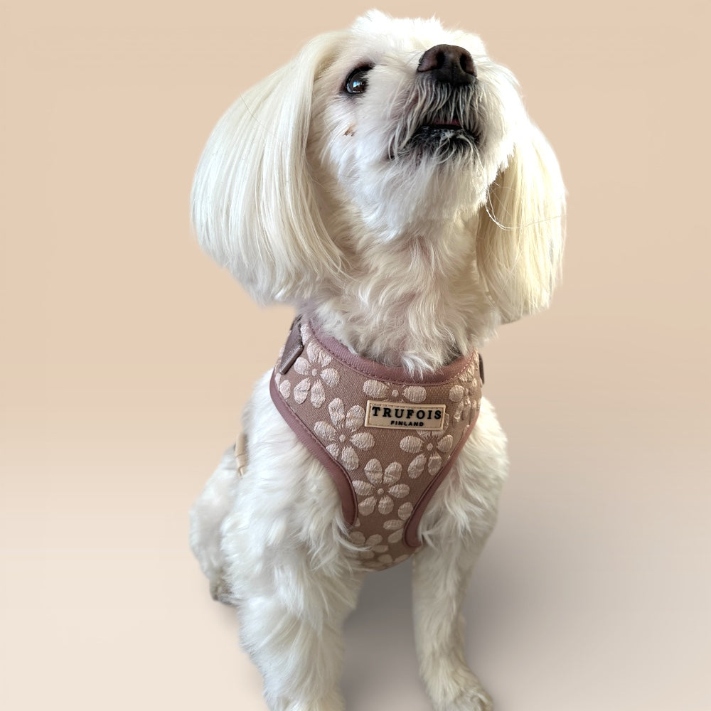 Lite Harness - Chai