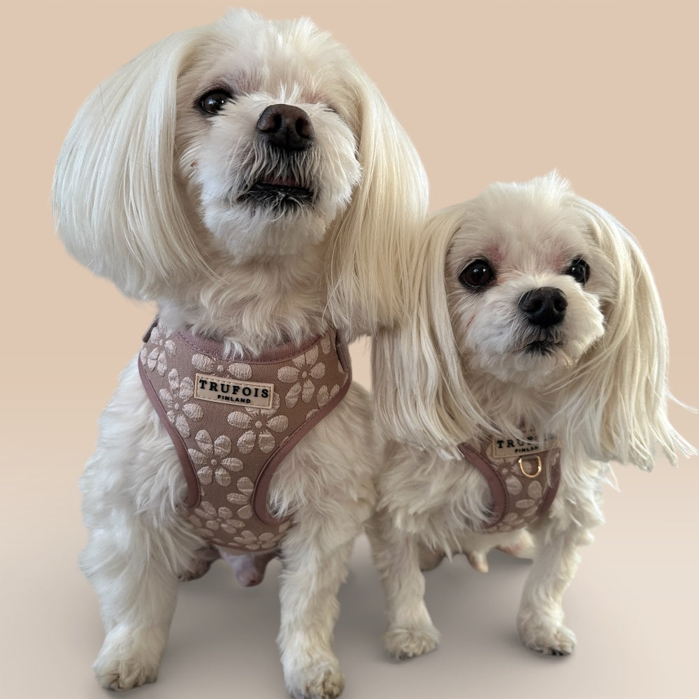 Lite Harness - Chai
