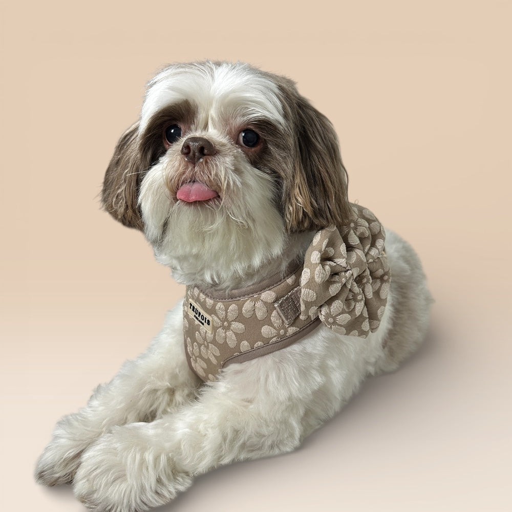 Lite Harness - Chai