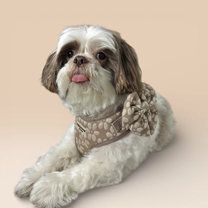 Lite Harness - Chai