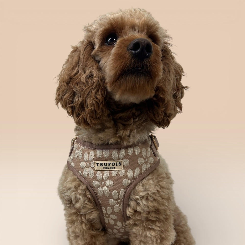Lite Harness - Chai