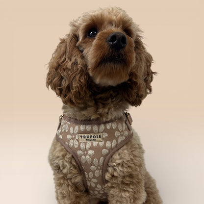 Lite Harness - Chai