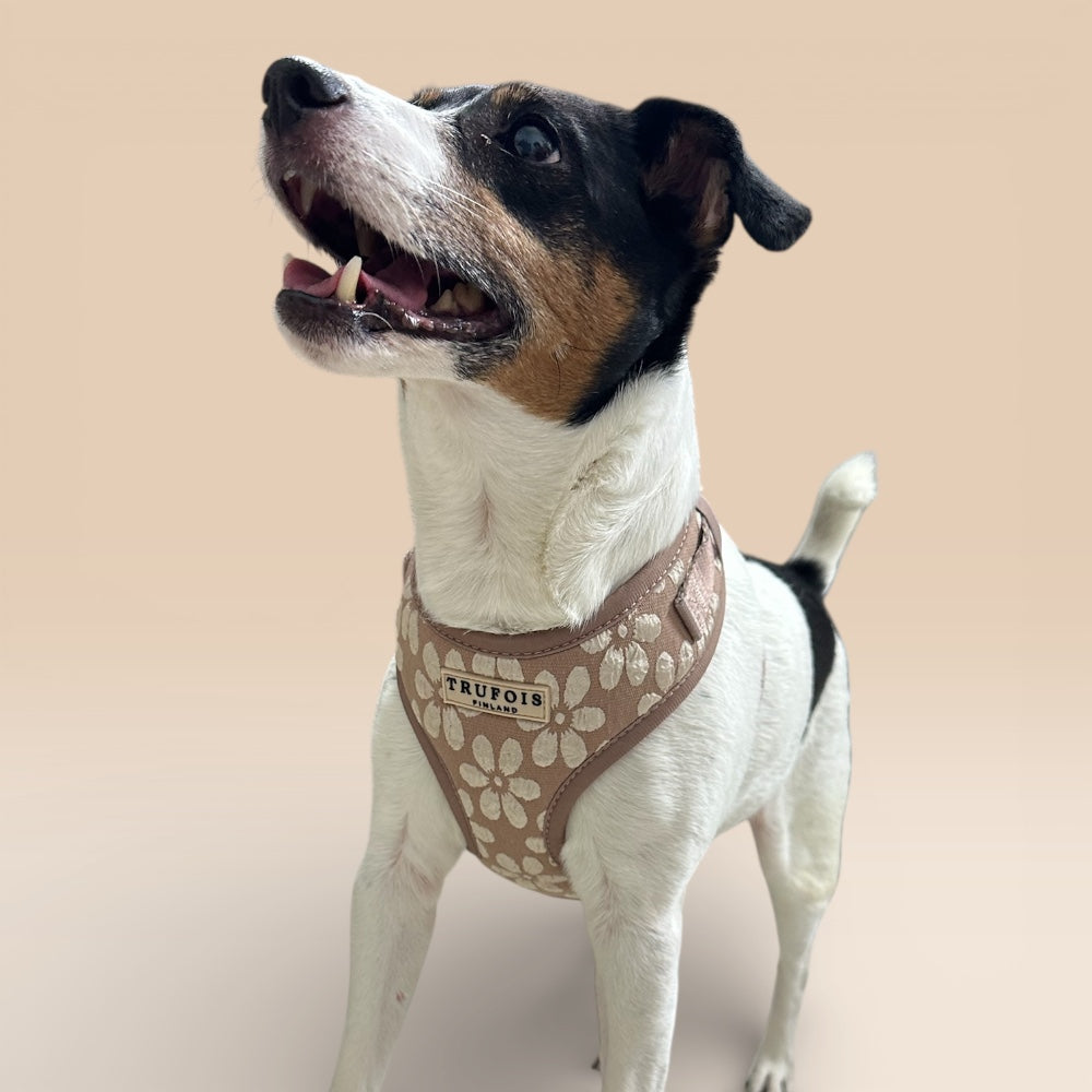 Lite Harness - Chai