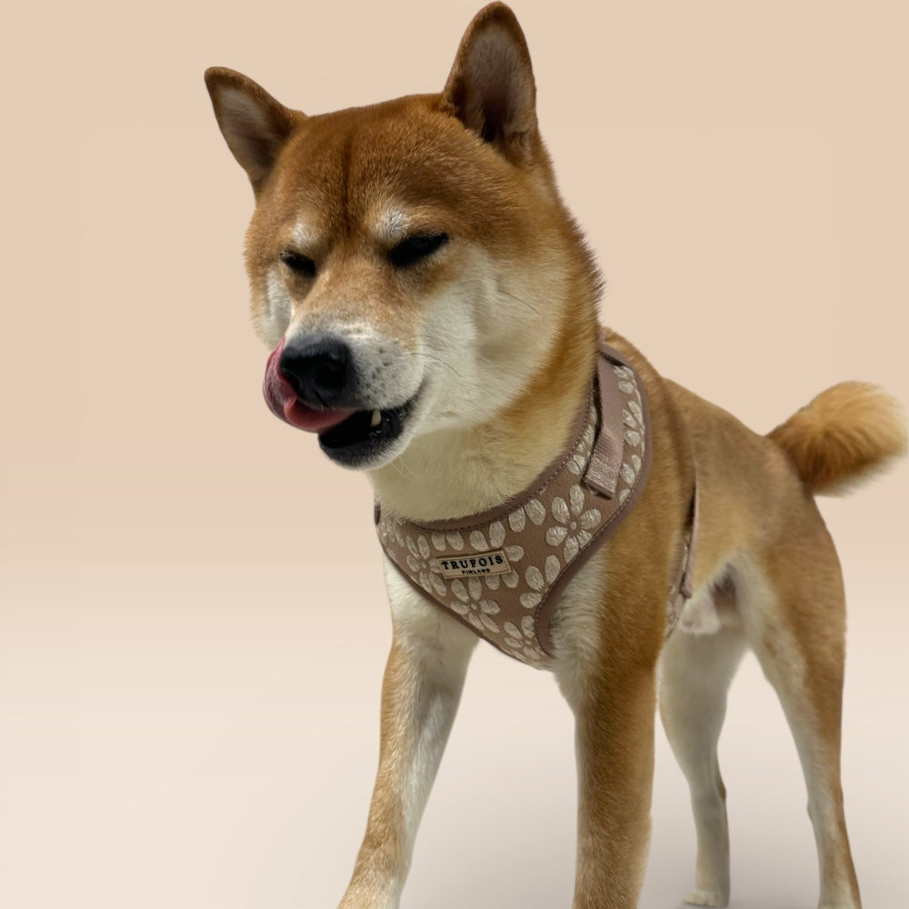 Lite Harness - Chai
