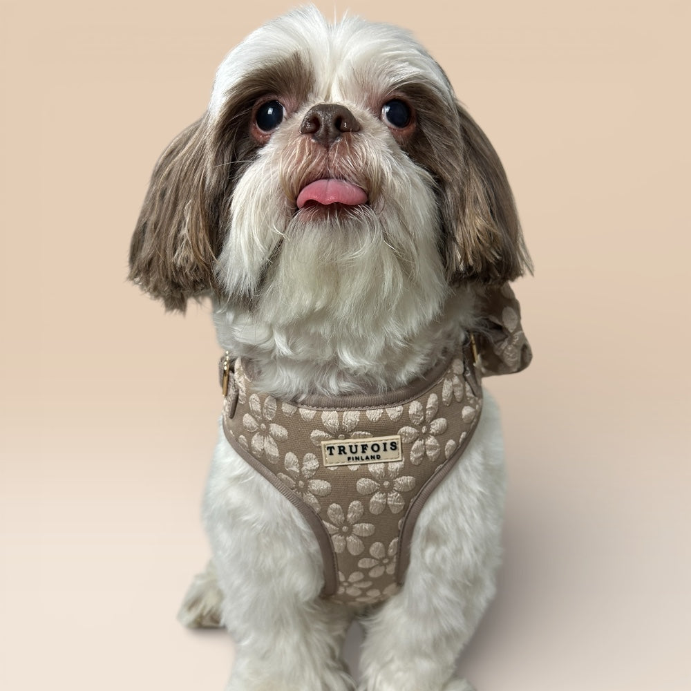 Lite Harness - Chai
