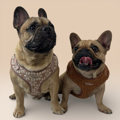 Lite Harness - Chai