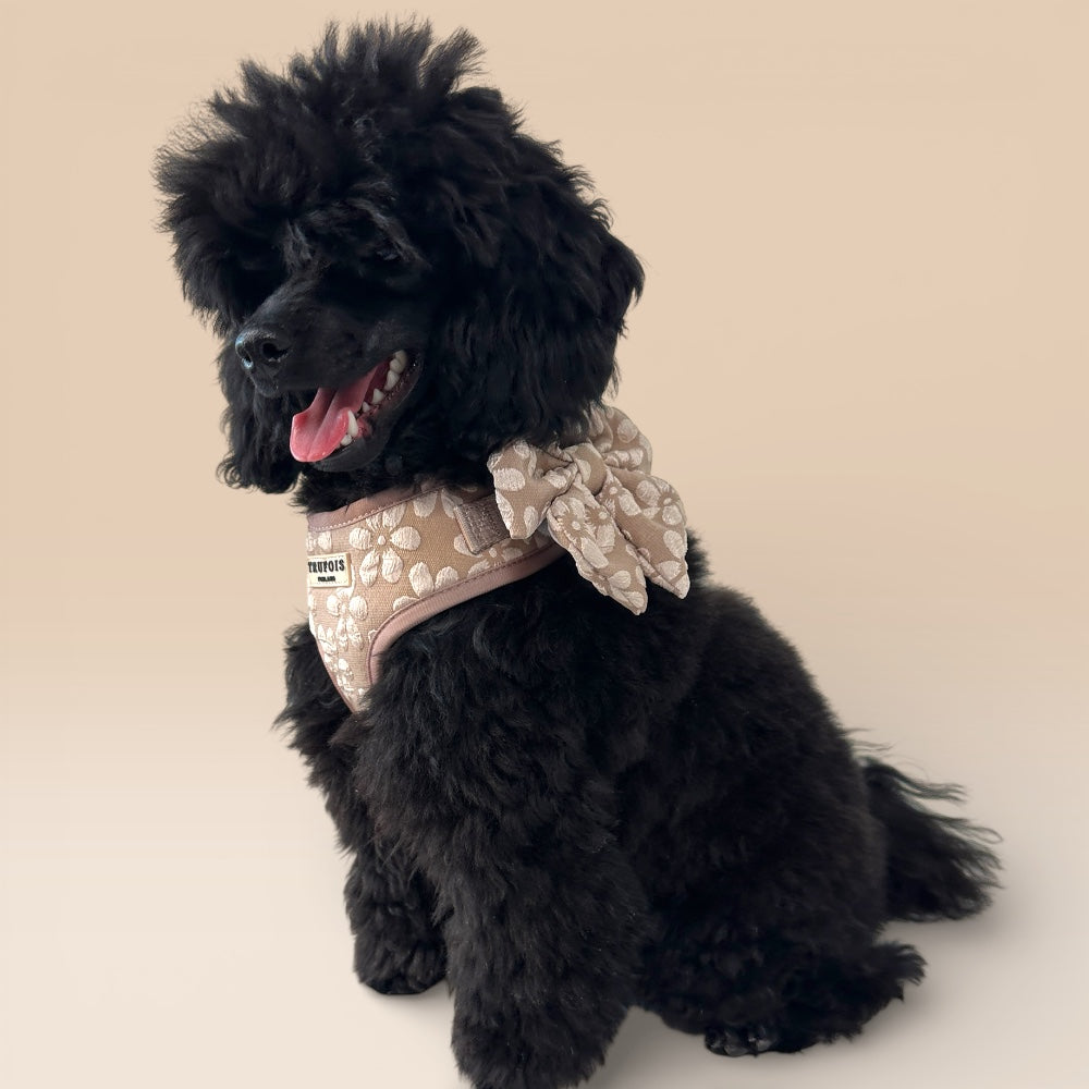 Lite Harness - Chai