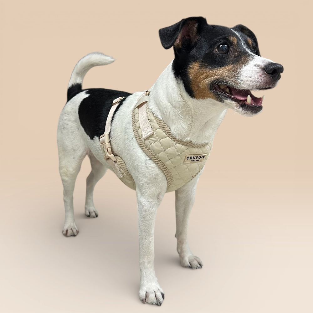 Lite Harness - Latte Beige