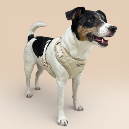 Lite Harness - Latte Beige