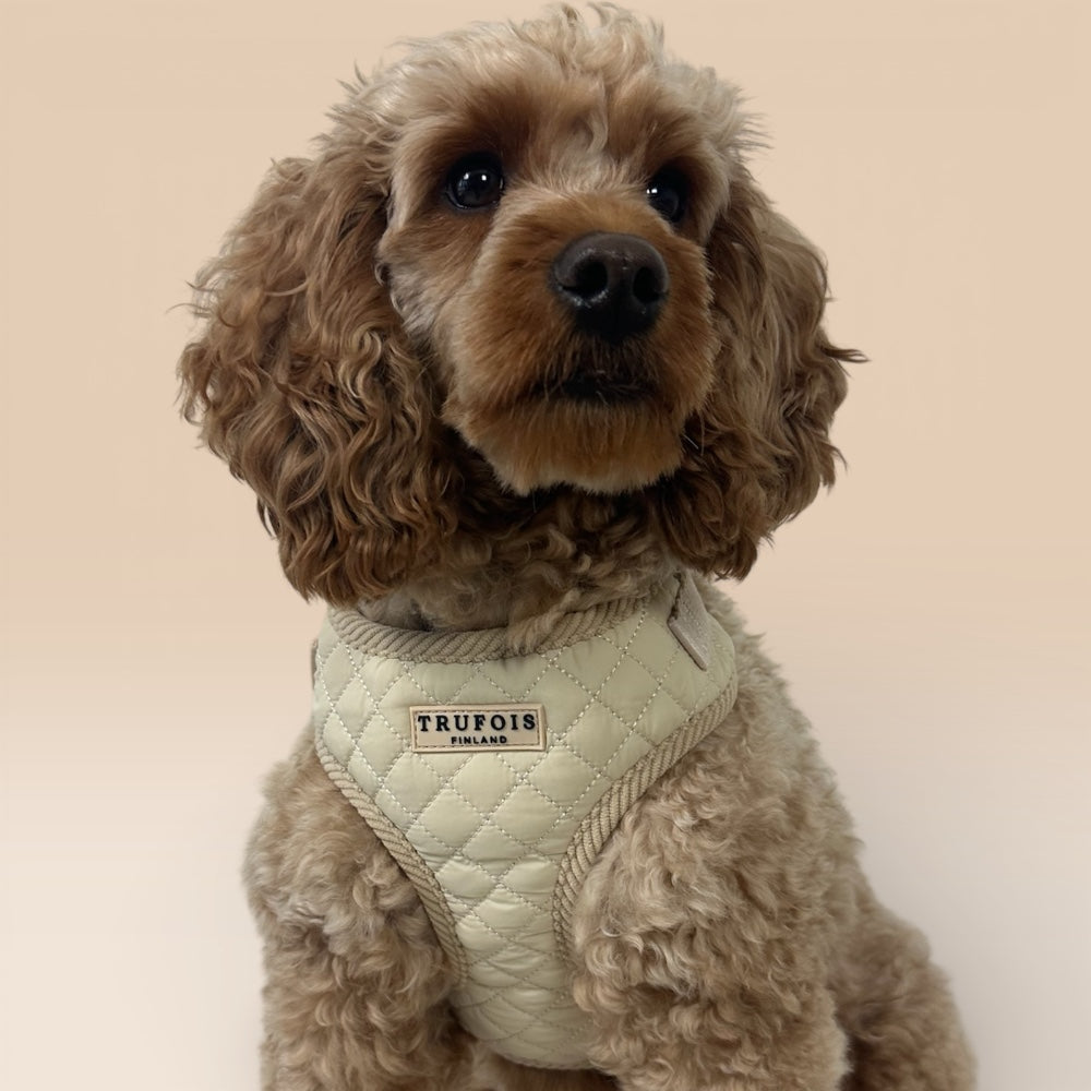 Lite Harness - Latte Beige