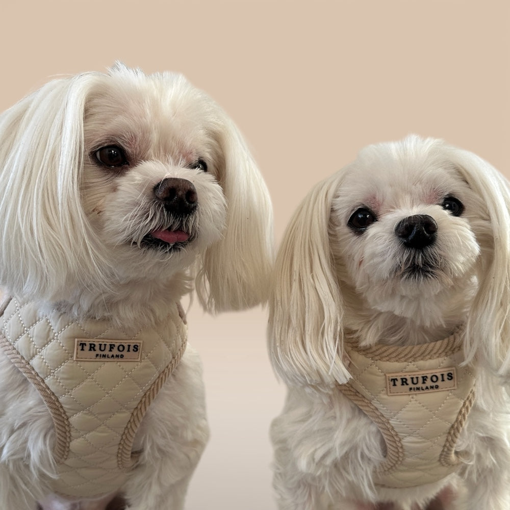 Lite Harness - Latte Beige