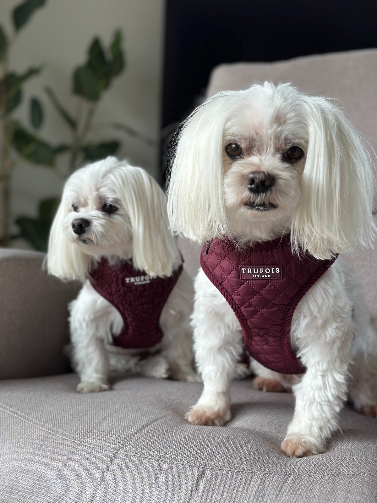 Lite Harness - Quilted Burgundy
