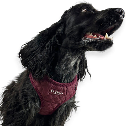 Lite Harness - Quilted Burgundy