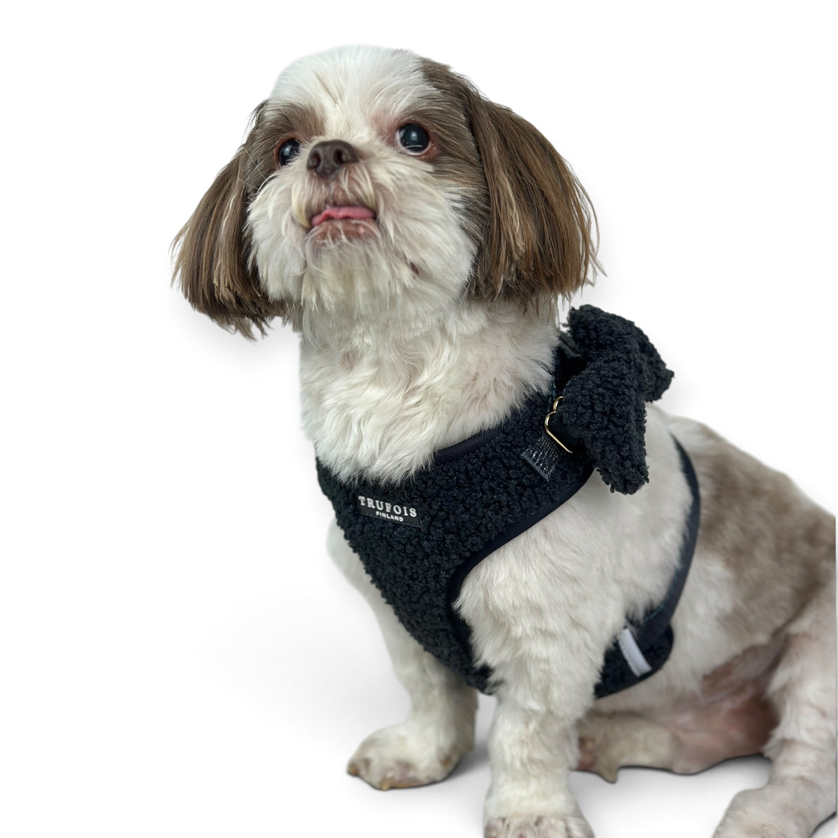 Lite Harness - Teddy Charcoal