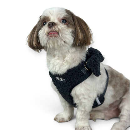 Lite Harness - Teddy Charcoal