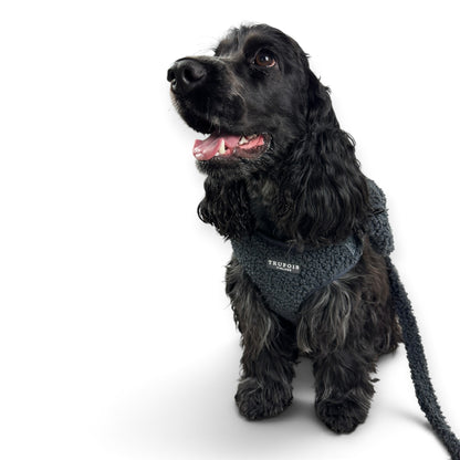 Lite Harness - Teddy Charcoal