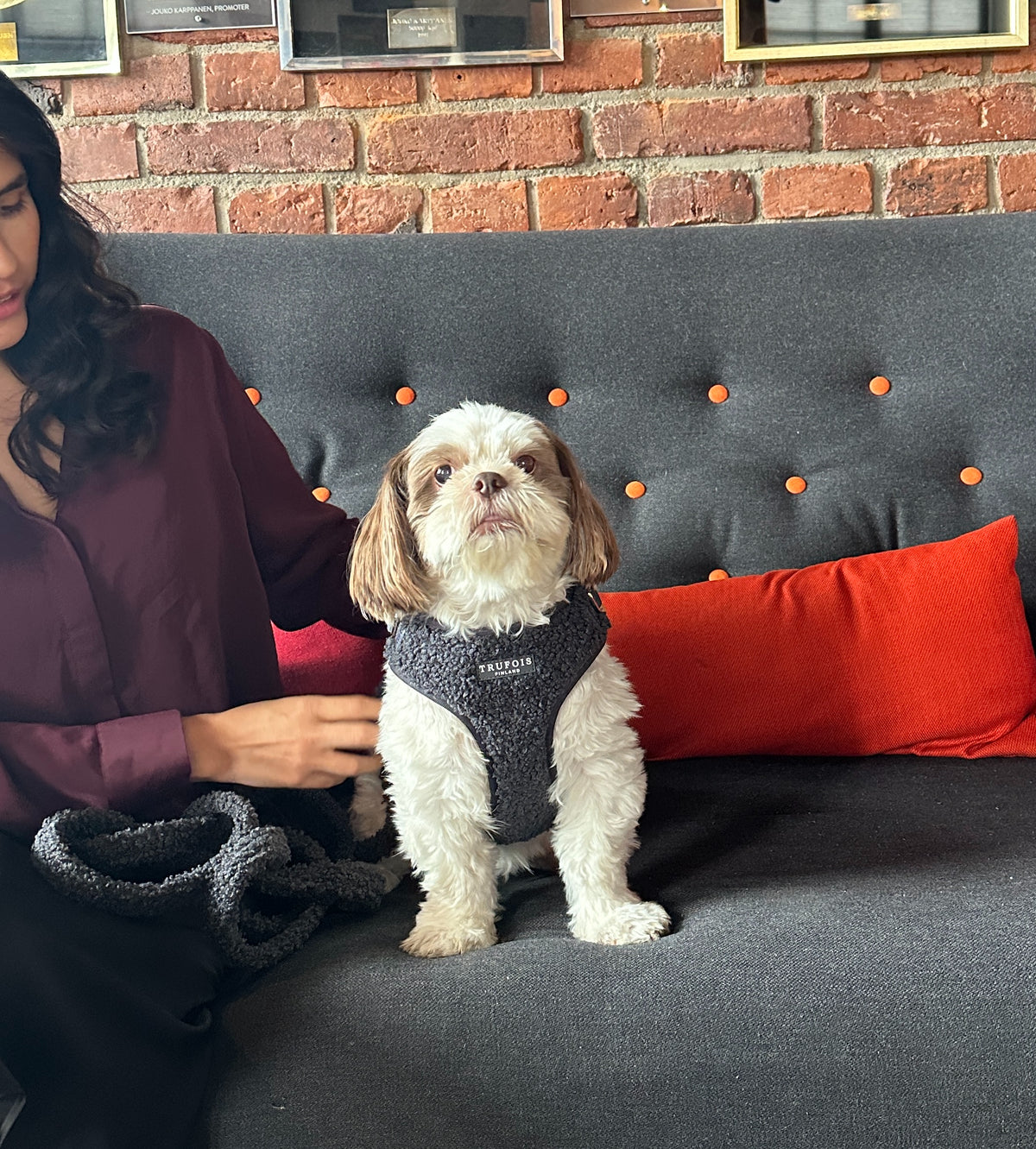 Lite Harness - Teddy Charcoal
